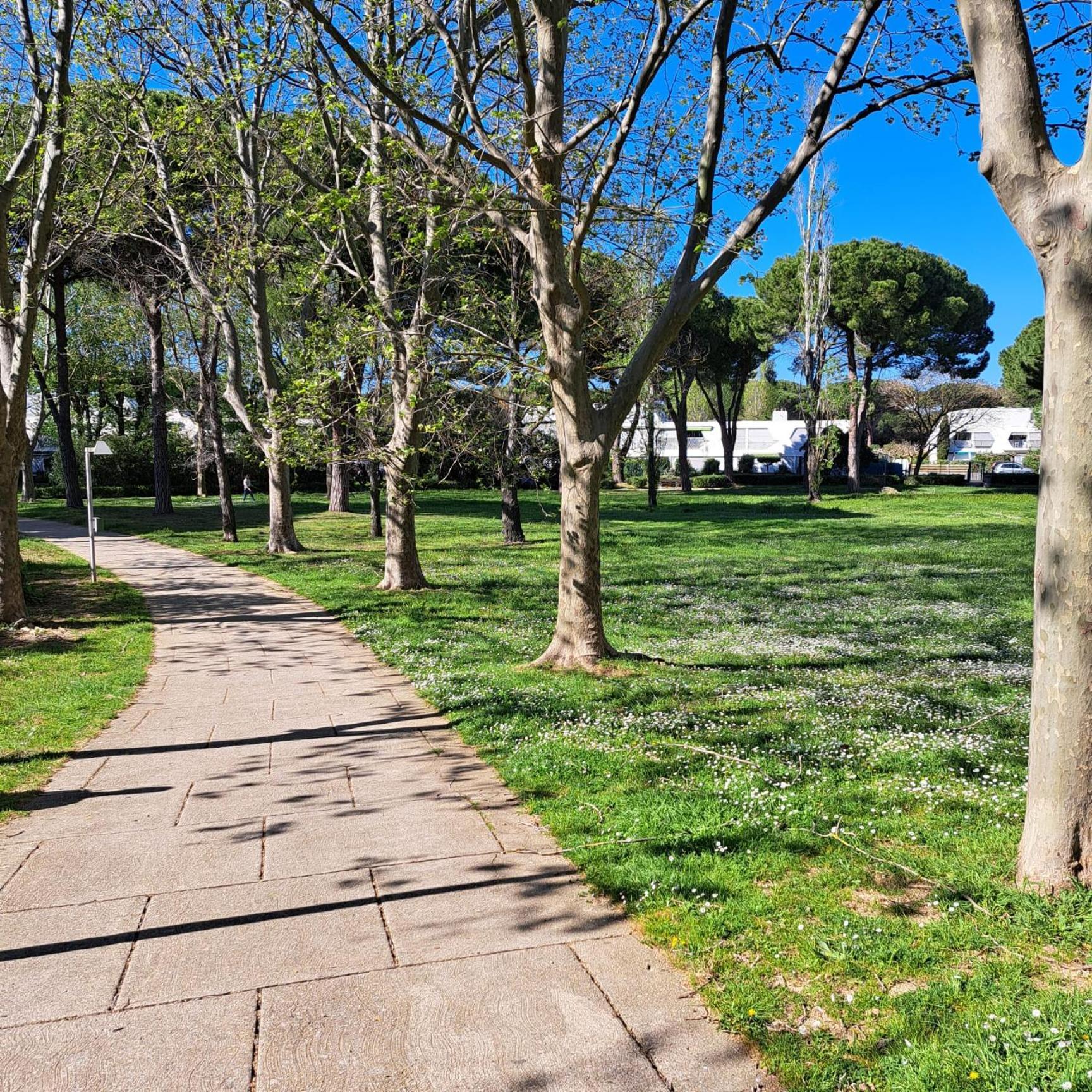T2 West City Parking Clim Wifi 4Pers - Rossiconciergerie - Linge Inclus 拉格朗德默特 外观 照片